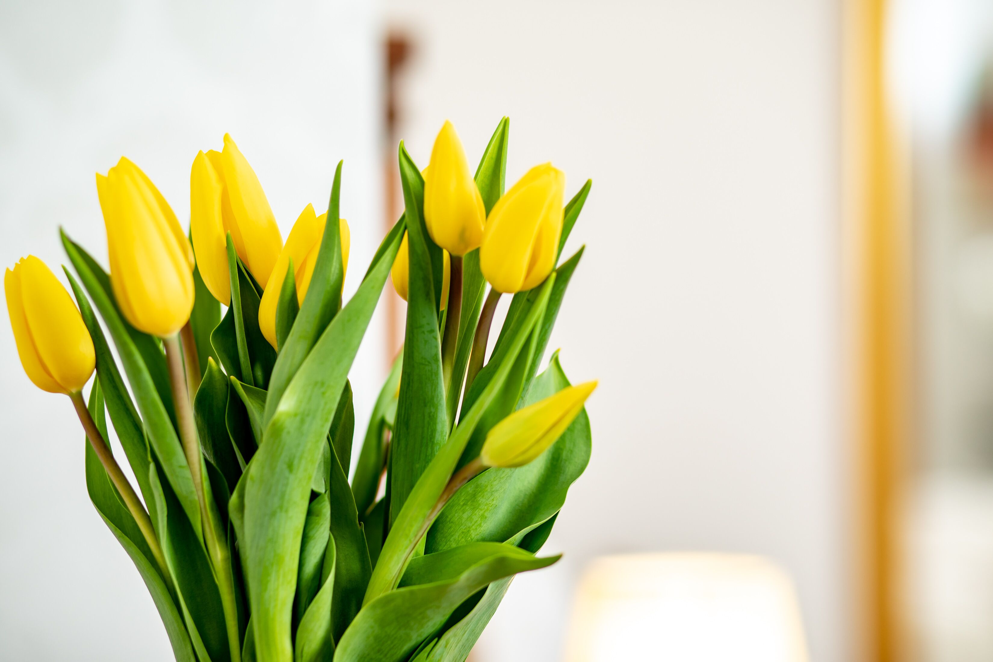 Photo - Hotel Le Premier