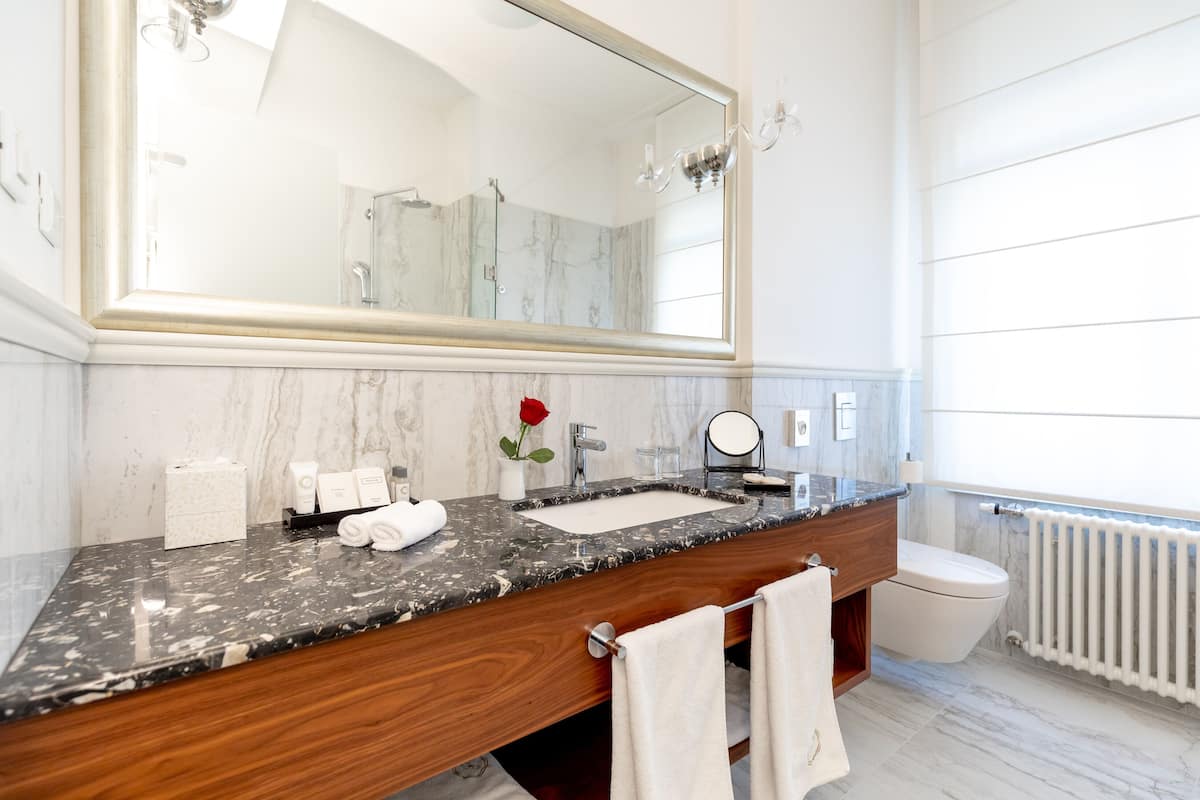deluxe suite | bathroom | rainfall showerhead, designer toiletries, hair dryer, bathrobes