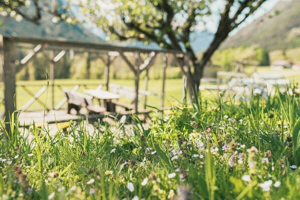 Áreas de la propiedad