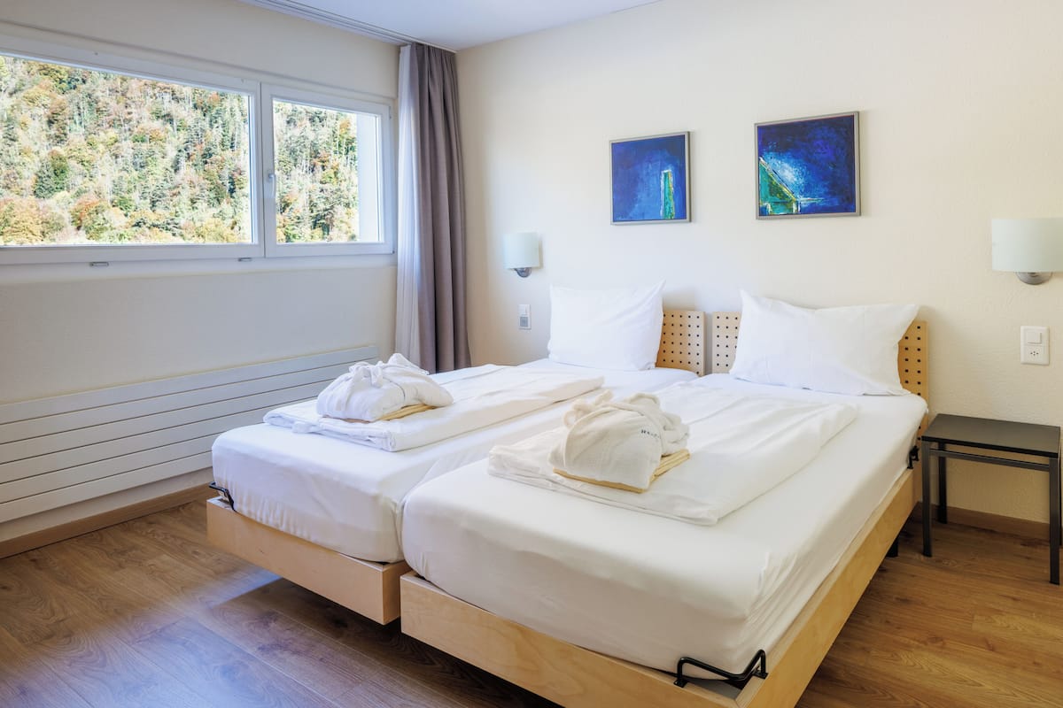 Appartement Deluxe, balcon, vue montagne