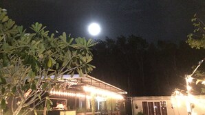 Scena notturna con una luna piena, un edificio illuminato da luci decorative e vegetazione circostante.