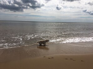 Beach - Swallow Park Glamping (Great Yarmouth)