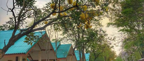 Façade de l’hébergement - soirée/nuit