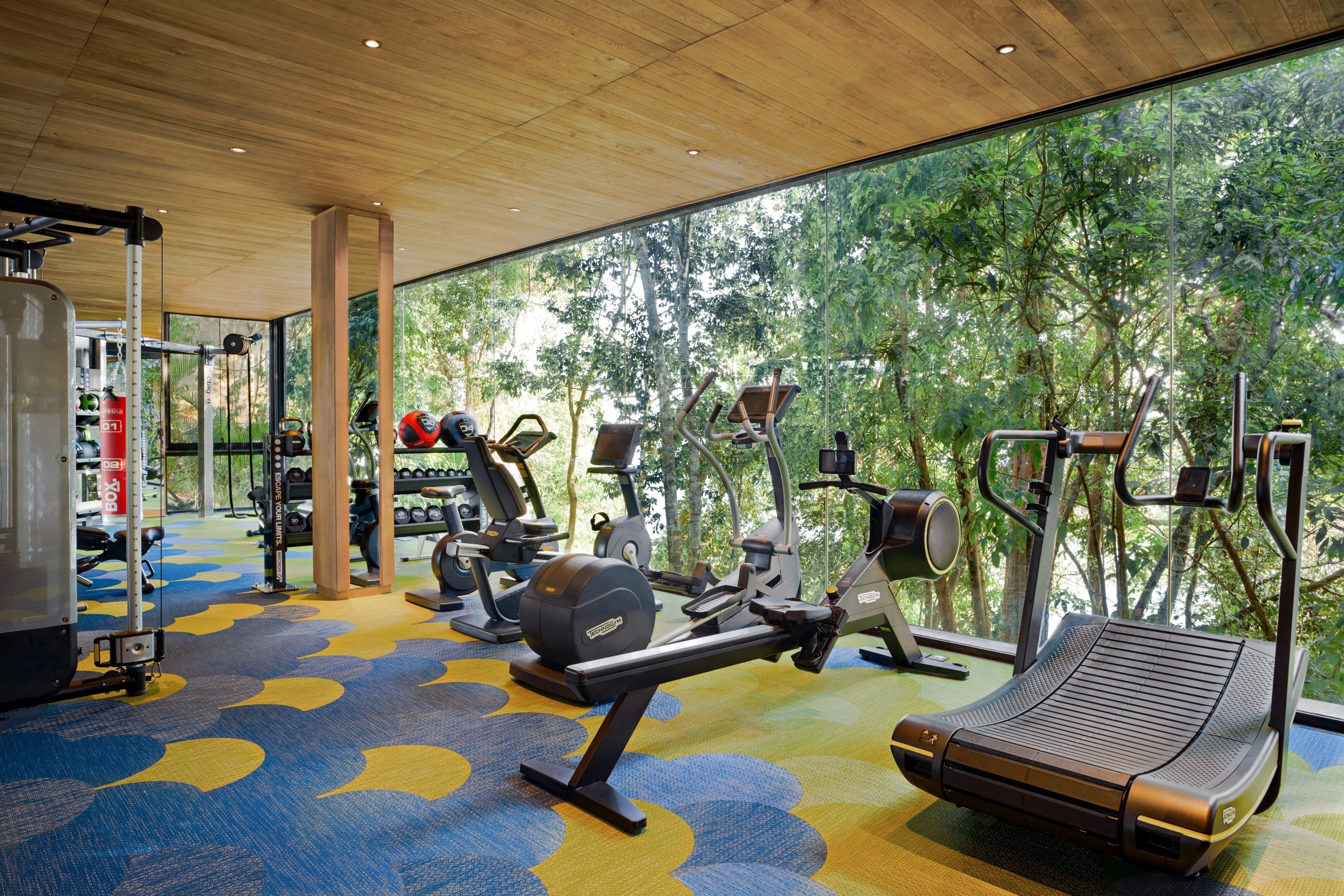 A gym with exercise equipment and large windows overlooking a forest.