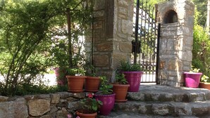 A stone staircase with terracotta pots of flowers. - Defne Pansiyon (Marmaris)