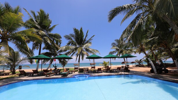 Un espace aménagé au bord de la piscine, avec des chaises longues et des parasols, des palmiers et une vue sur la plage.