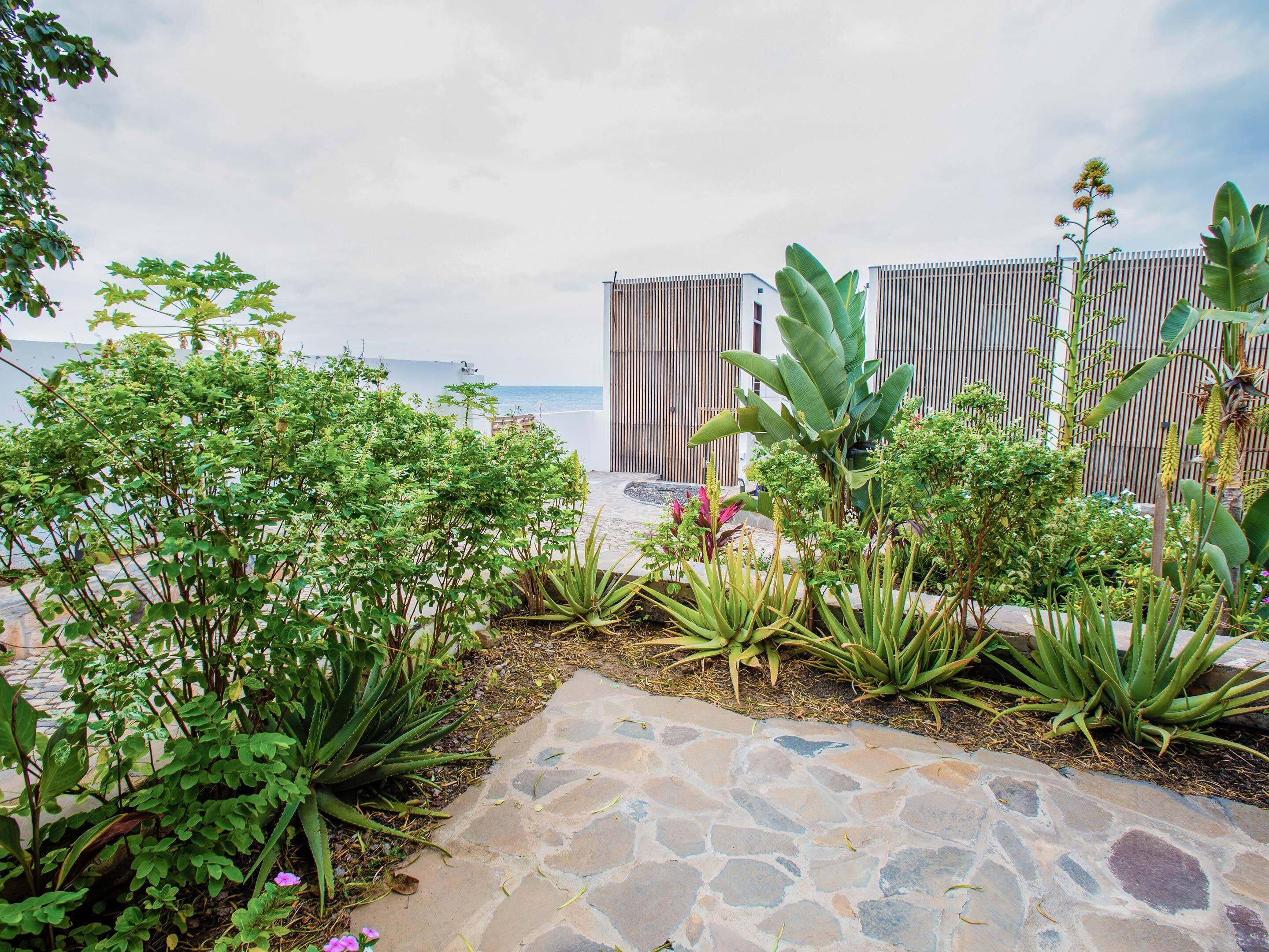 classic double room | terrace/patio