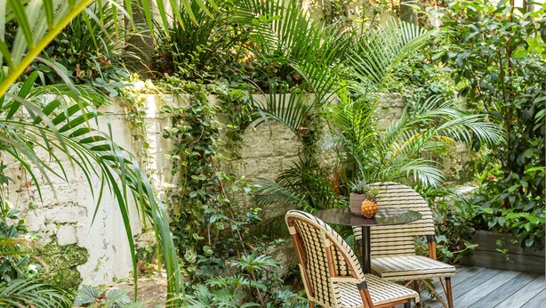 Una terraza de madera con dos sillas de mimbre y una mesita pequeña, rodeada de abundante vegetación y un muro blanco.