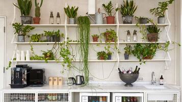Una cocina con estantes llenos de plantas, una cafetera y un lavamanos.