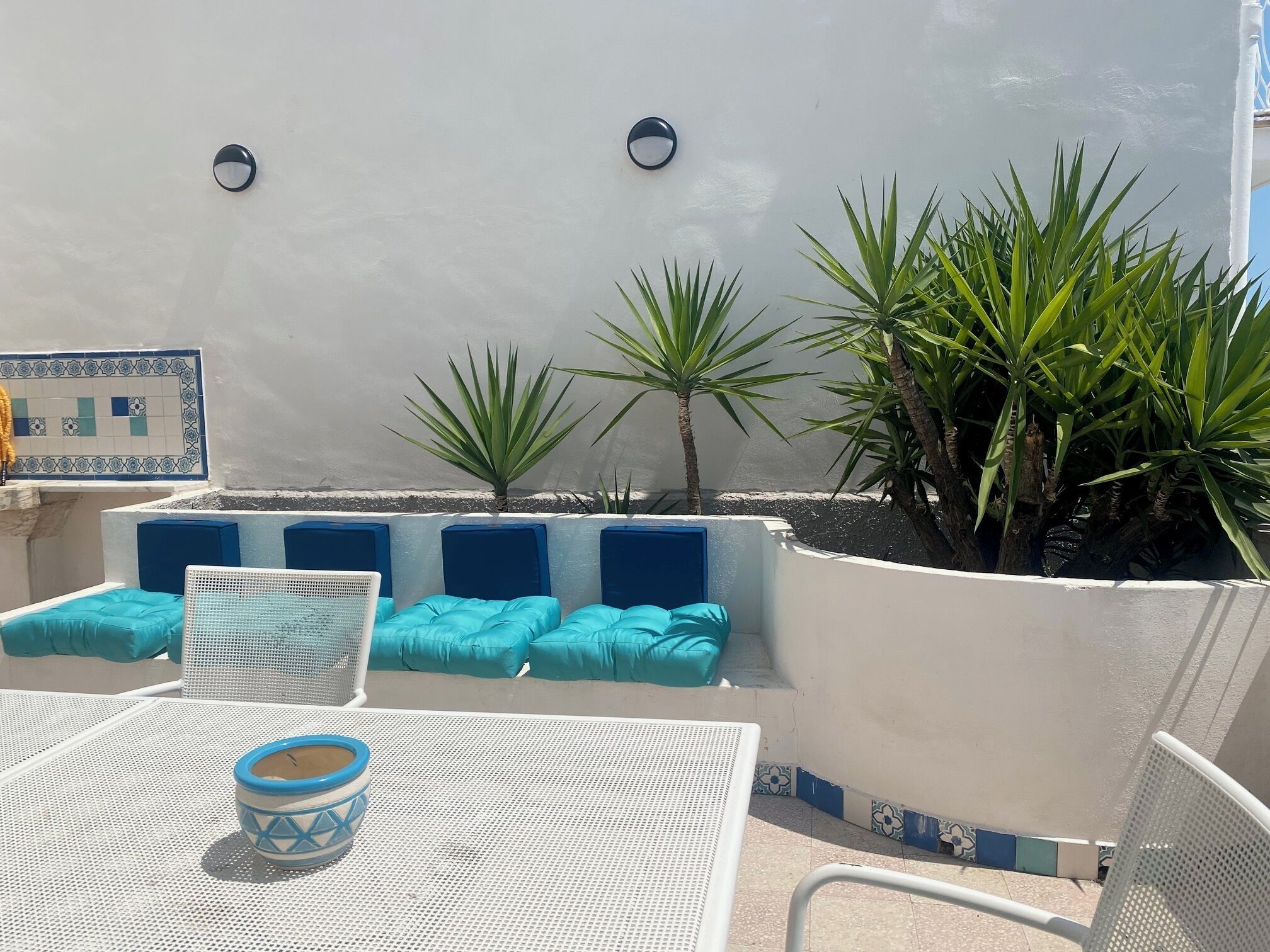 A patio area with a white table, blue cushions, and a potted plant.