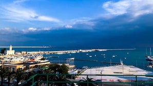 Una marina con barcos amarrados, un muelle que se adentra en el agua y edificios a lo largo de la costa.