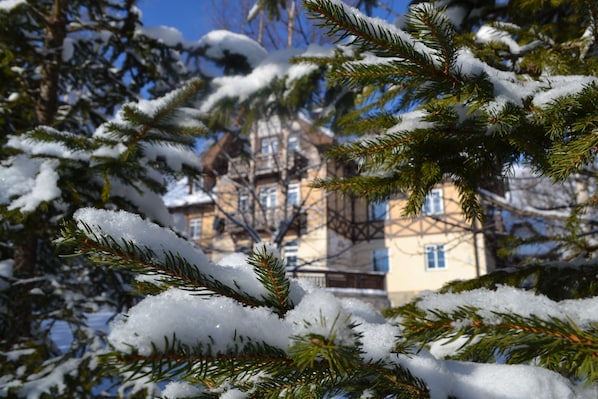 Schnee bedeckte Tannenäste vor einem Gebäude mit Fenster und Balkon.