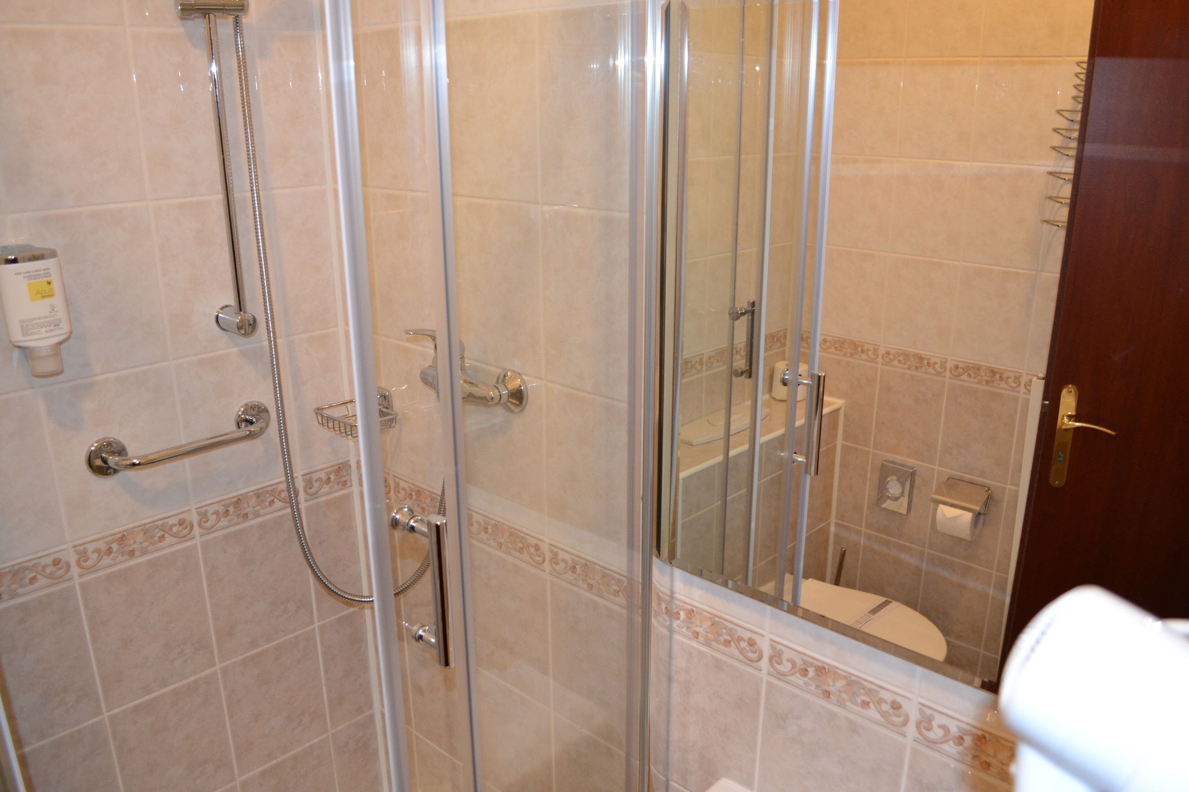 Een douchecabine met glazen wanden, een handgreep, een handdoekhouder en een toilet zichtbaar door het glas.