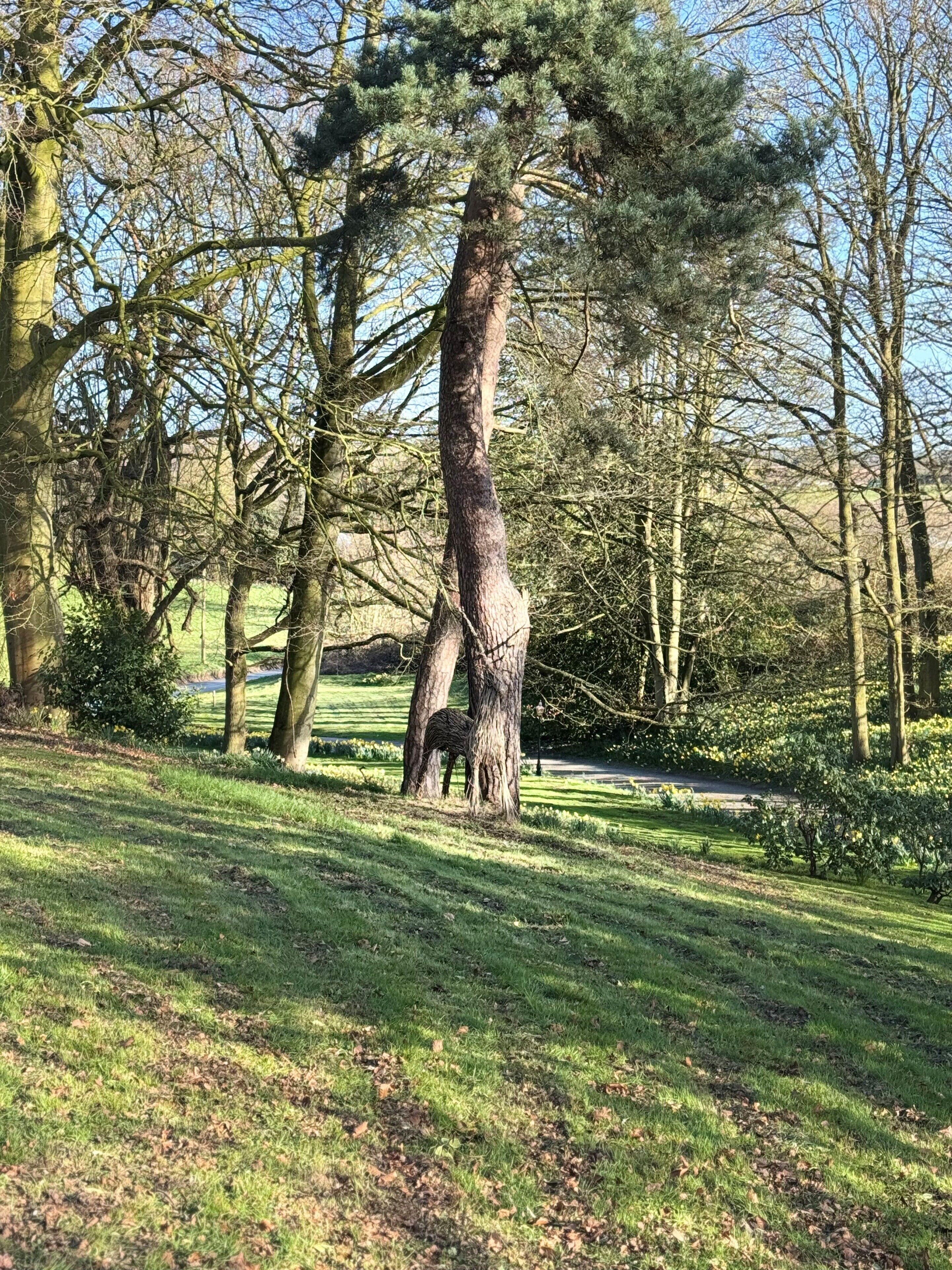 A natural landscape with a prominent tree, grassy areas, and a clear sky.