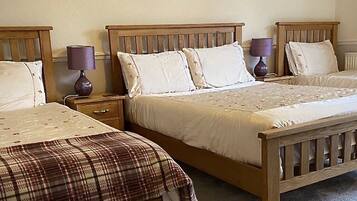 Iron/ironing board, free WiFi, bed sheets