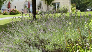 Un jardin où l’on peut admirer des plants de lavande devant un bâtiment en pierre surmonté d’un toit en tuiles.