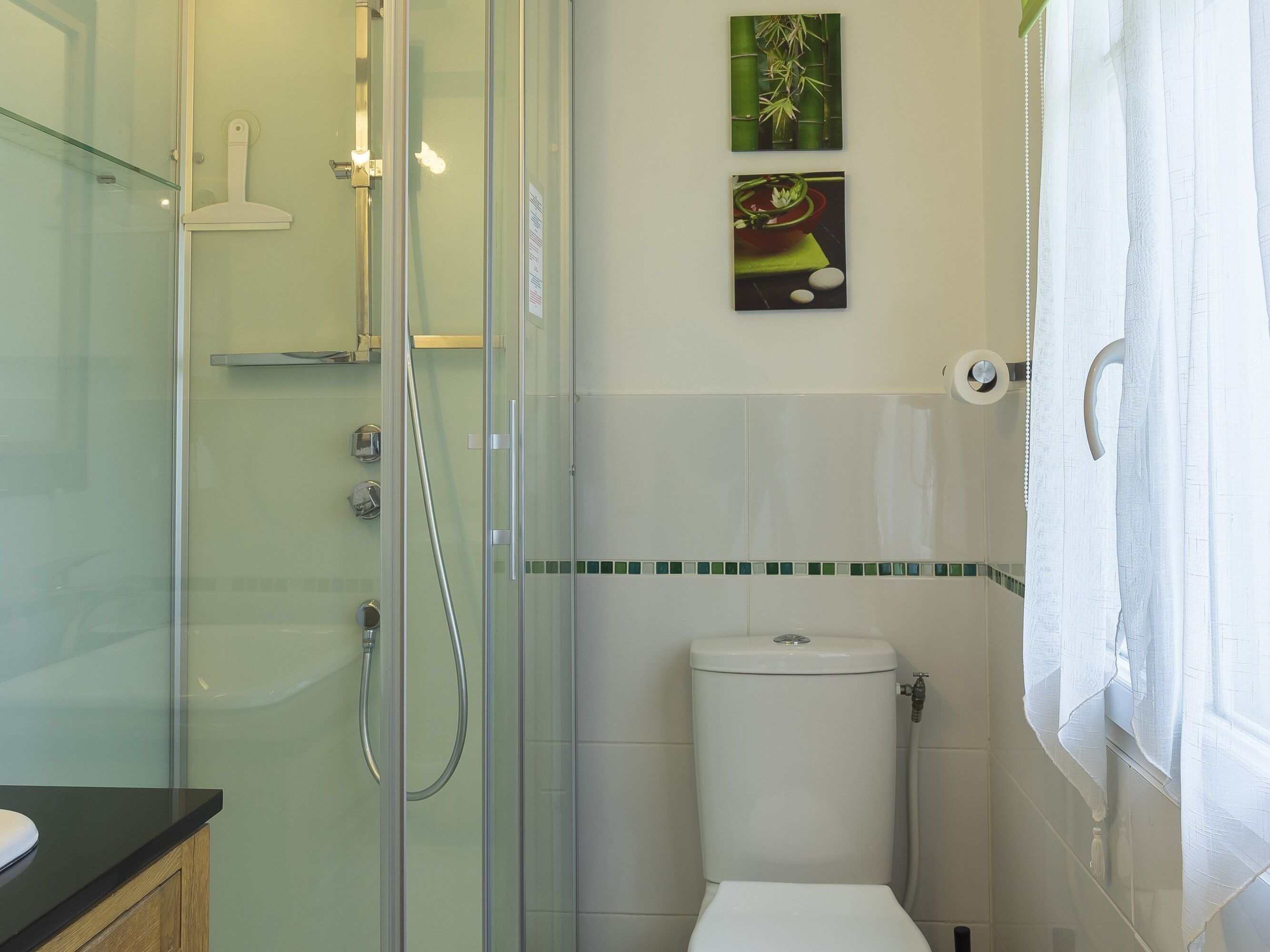 A modern bathroom with a glass shower enclosure, a toilet, and two wall-mounted artwork pieces.