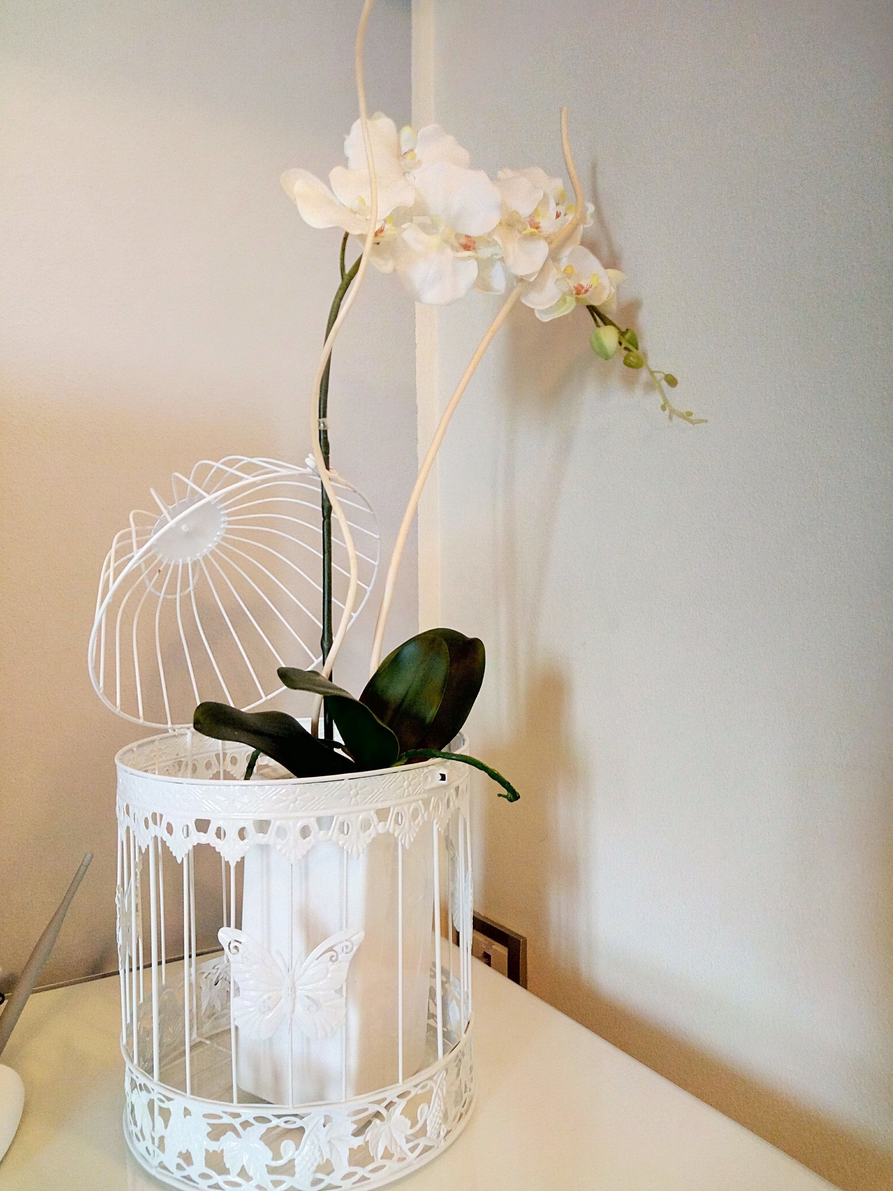 A white birdcage with a butterfly decoration and a white orchid plant.