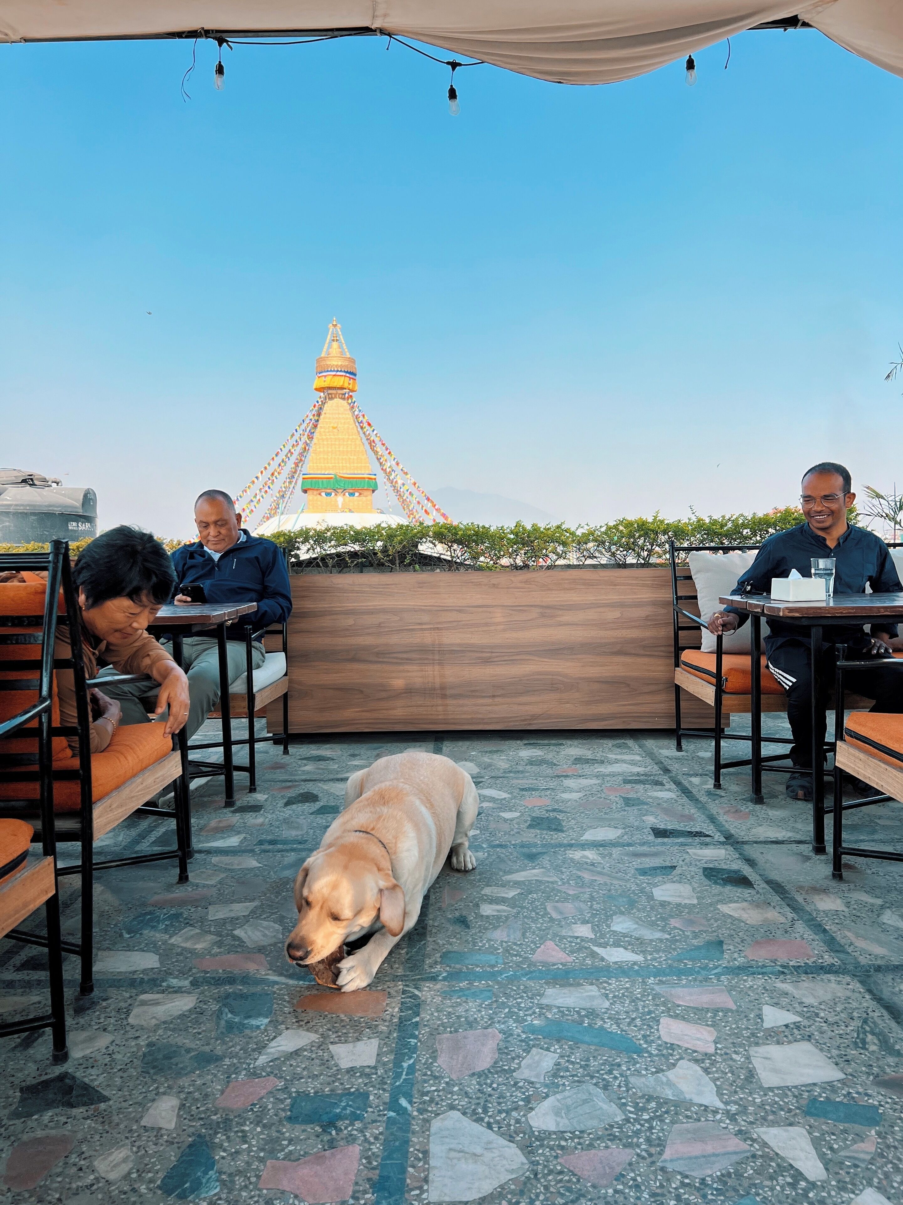 A terrace with outdoor seating, a large dog, and a distant view of a yellow-roofed building.