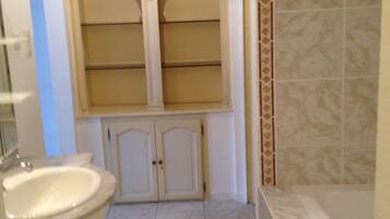 Combined shower/tub, hair dryer, toilet paper