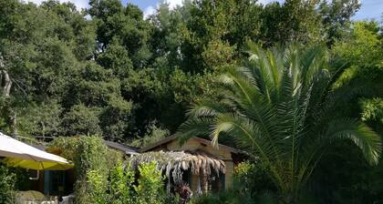 Bord de Mer: Chalet Caribéen