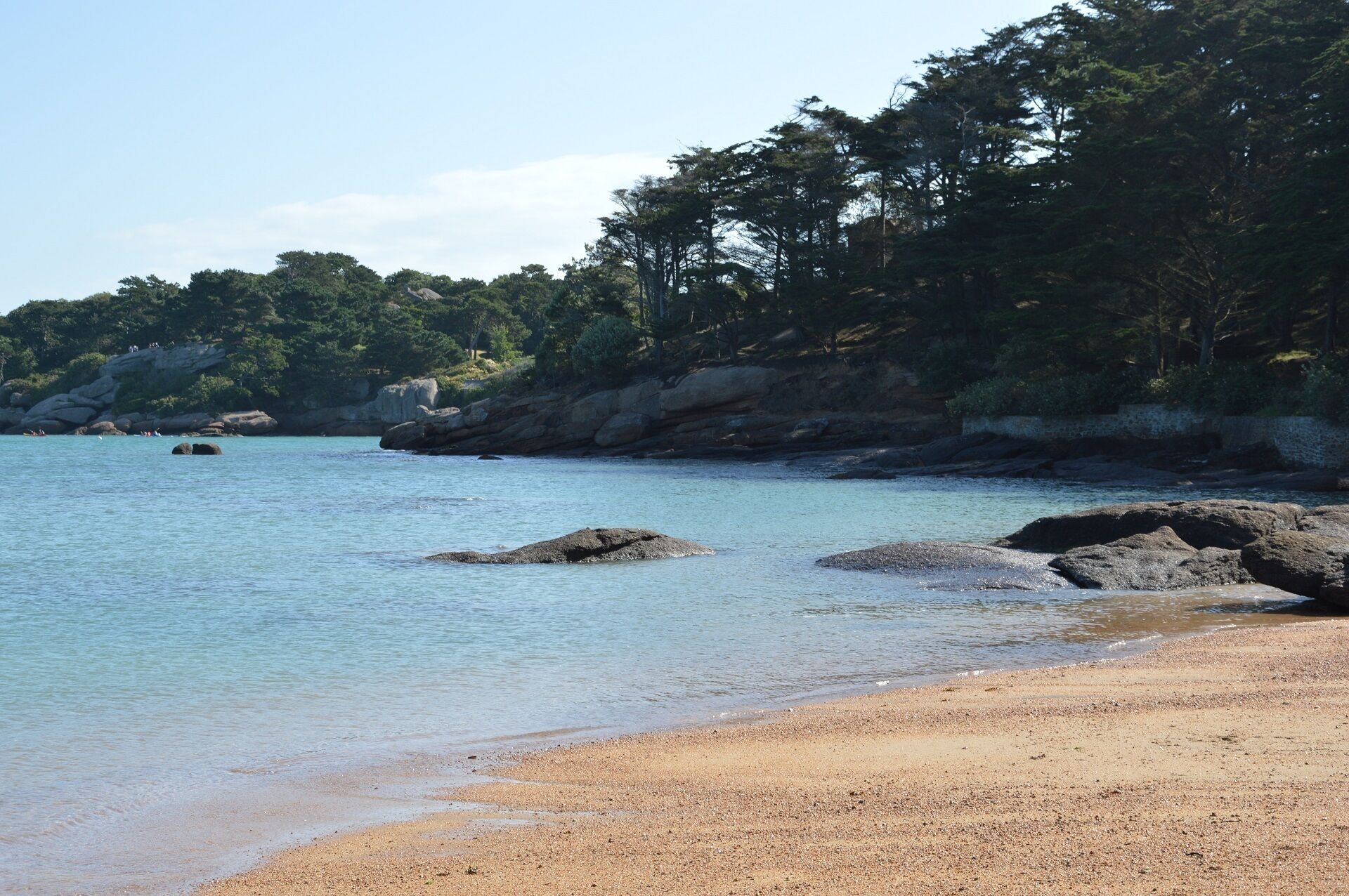 在海灘附近、躺椅