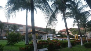 Pátio com palmeiras, calçada e área de piscina.