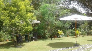 Un jardí amb plantes en testos diverses, una estàtua i un cobert.