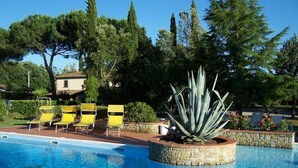 A swimming pool with clear blue water, surrounded by yellow lounge chairs and a large agave plant in a stone planter. - B&B Ortali Country House (Arezzo)