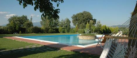 A rectangular swimming pool with a stone border, surrounded by a well-maintained lawn and trees.