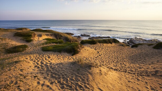 Une plage avec des dunes de sable et une vue sur l’océan.