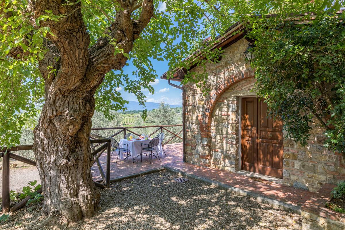 Appartement Romantique, 1 chambre, vue vignoble | Terrasse/Patio