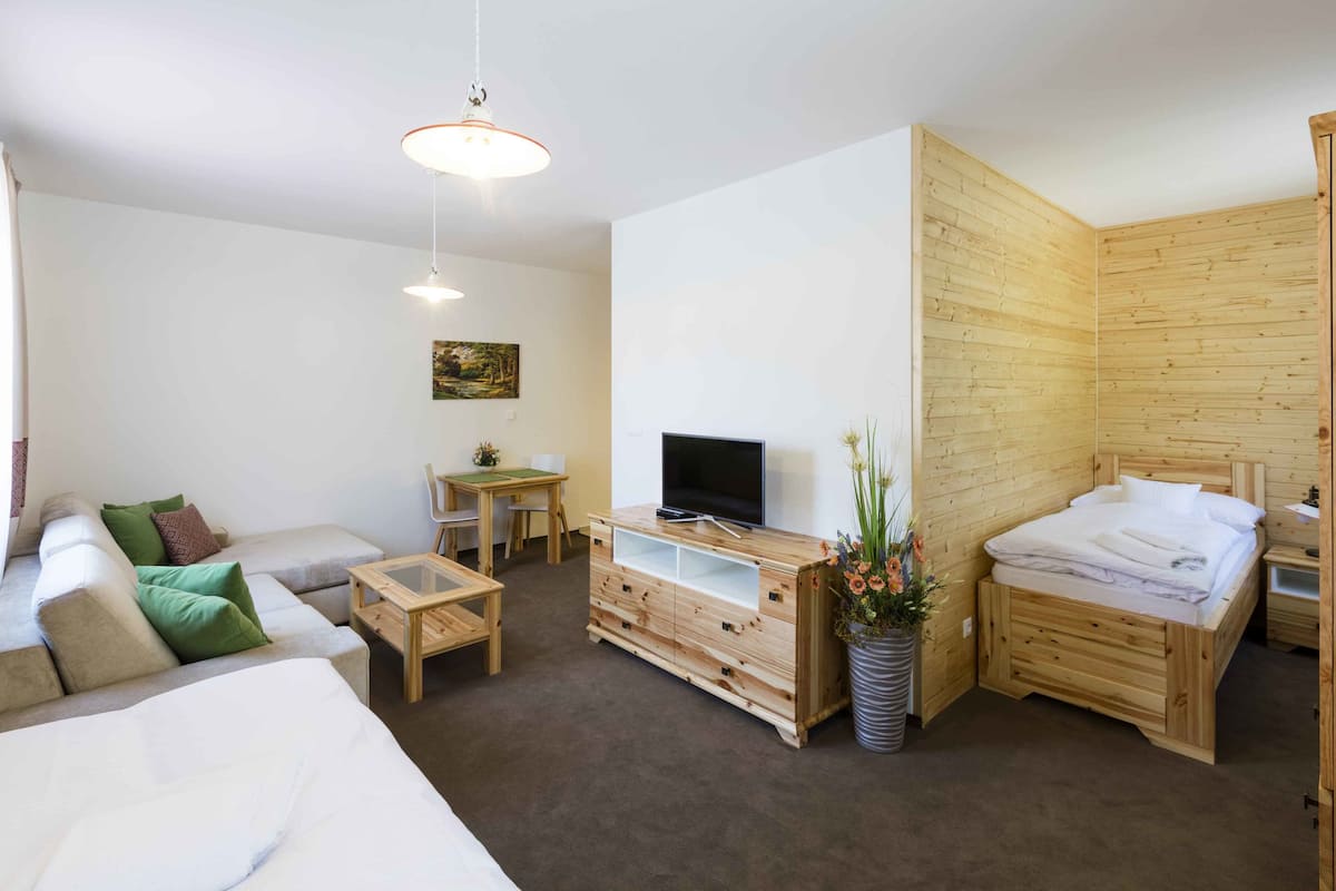 Habitación moderna y bien iluminada con una cama de madera, un sofá, un televisor, un aparador de madera y una pequeña mesa.