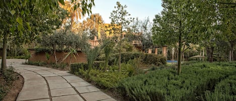 A stone pathway leading through a garden with various shrubs and trees.