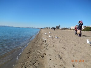 Beach nearby, beach towels