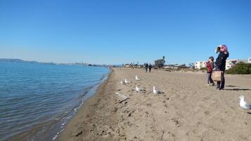 A beach with sand, water, and seagulls.