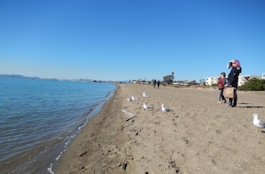 Une plage avec du sable, de l’eau et des mouettes.