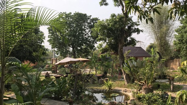A lush garden with a pond, a wooden deck, and a thatched-roof structure. - Sweet Home Resort at Pai (Pai)