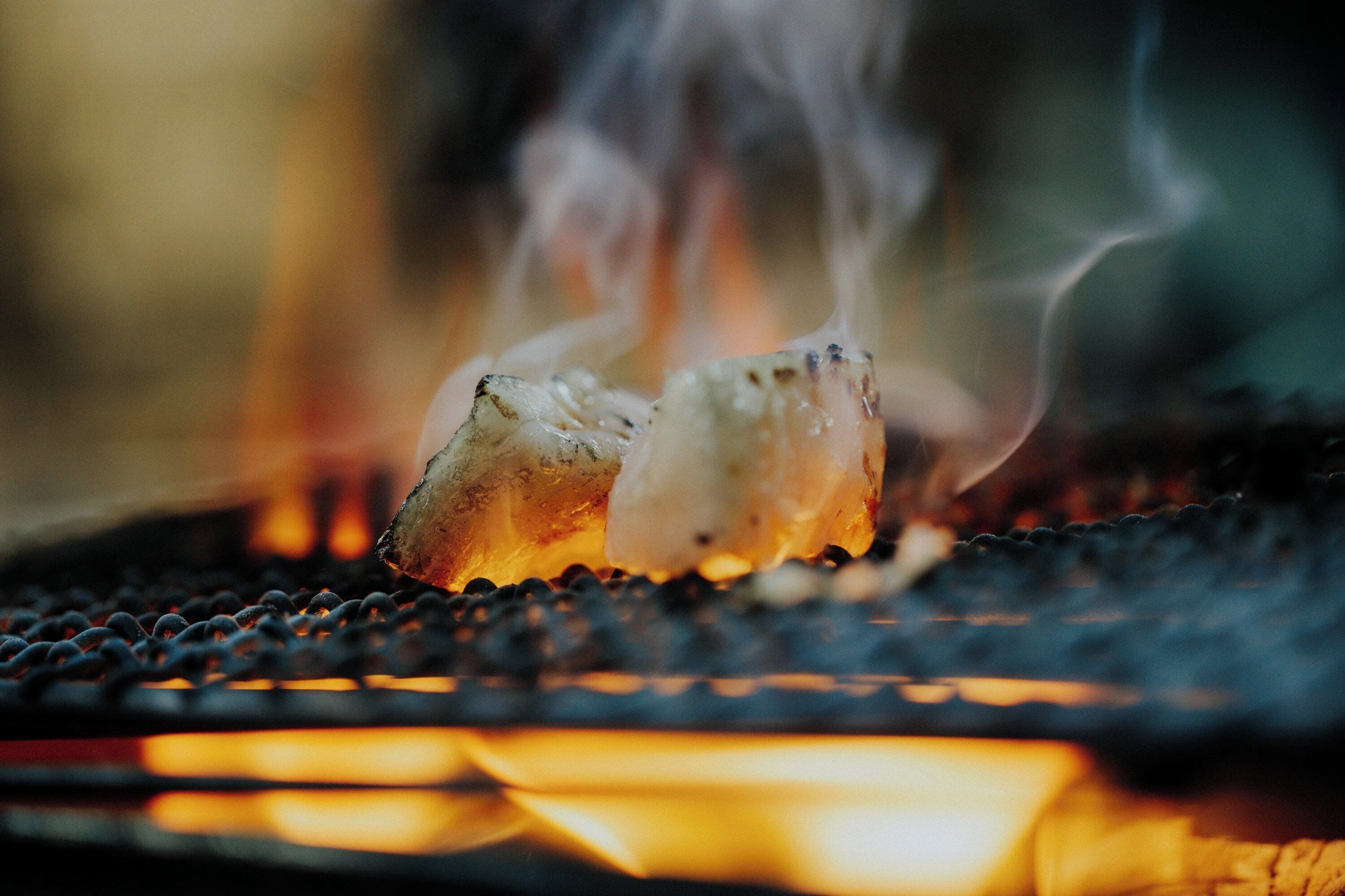 Two pieces of food being grilled over an open flame.