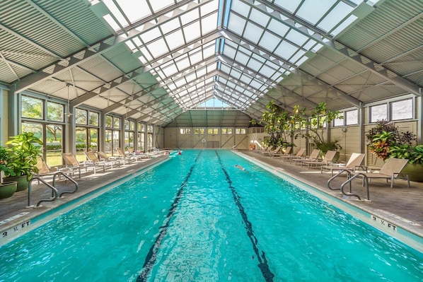 An indoor swimming pool with clear lanes, surrounded by lounge chairs and potted plants.