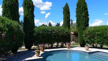 Outdoor pool, pool umbrellas, pool loungers