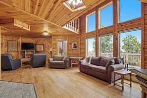 Smart TV, fireplace, DVD player, video library