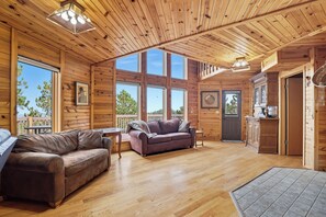 Smart TV, fireplace, DVD player, video library