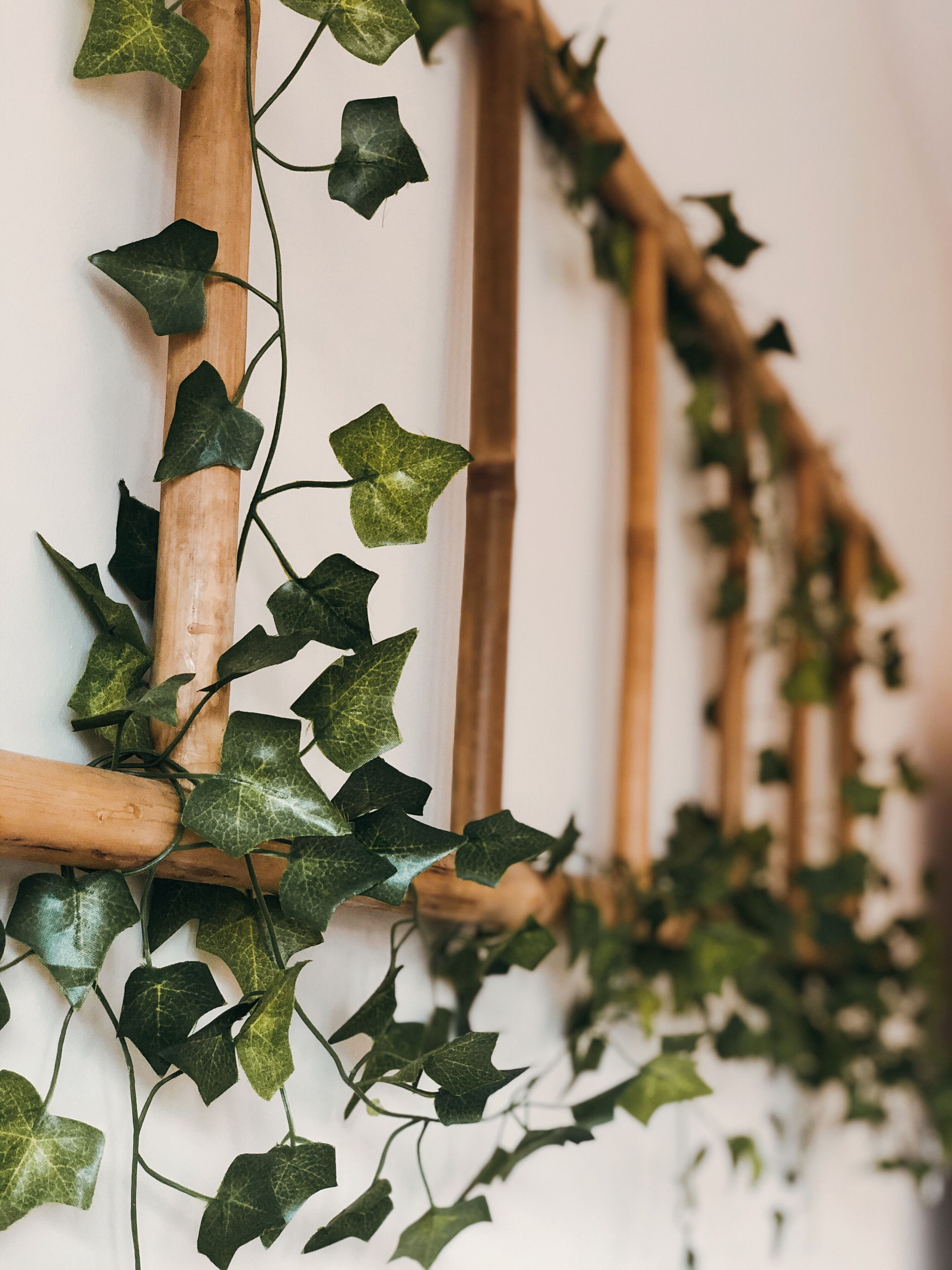 A wooden trellis with ivy leaves against a plain wall.