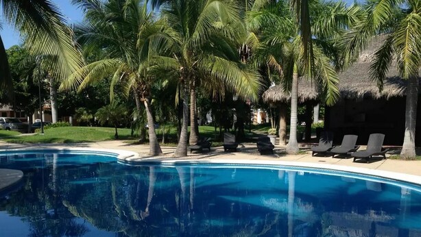 A swimming pool surrounded by palm trees and lounge chairs.