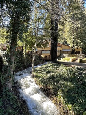 A rustic wooden cabin with a stone staircase leading up to a wooden deck, surrounded by dense forest and a flowing stream. - The Historic Brookdale Lodge, Santa Cruz Mountains (Boulder Creek)