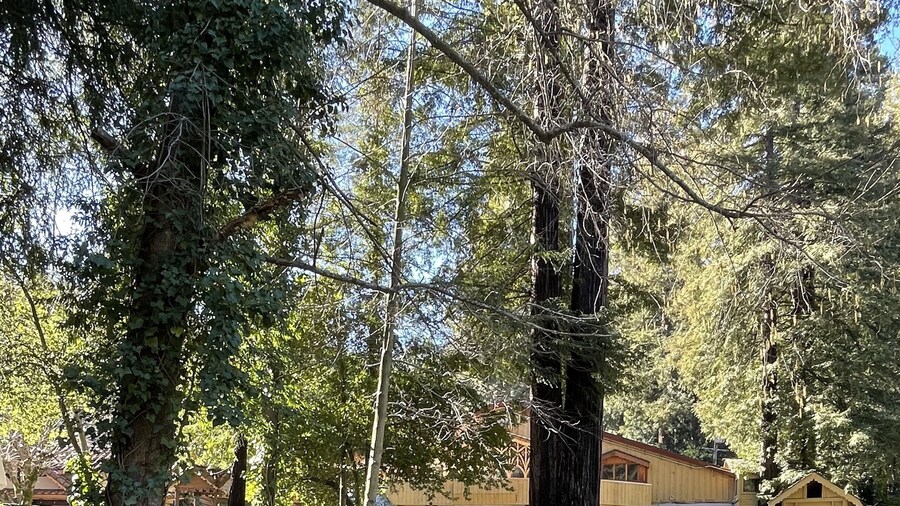 The Historic Brookdale Lodge, Santa Cruz Mountains