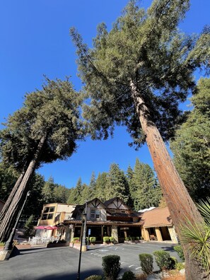 Exterior - The Historic Brookdale Lodge, Santa Cruz Mountains (Boulder Creek)