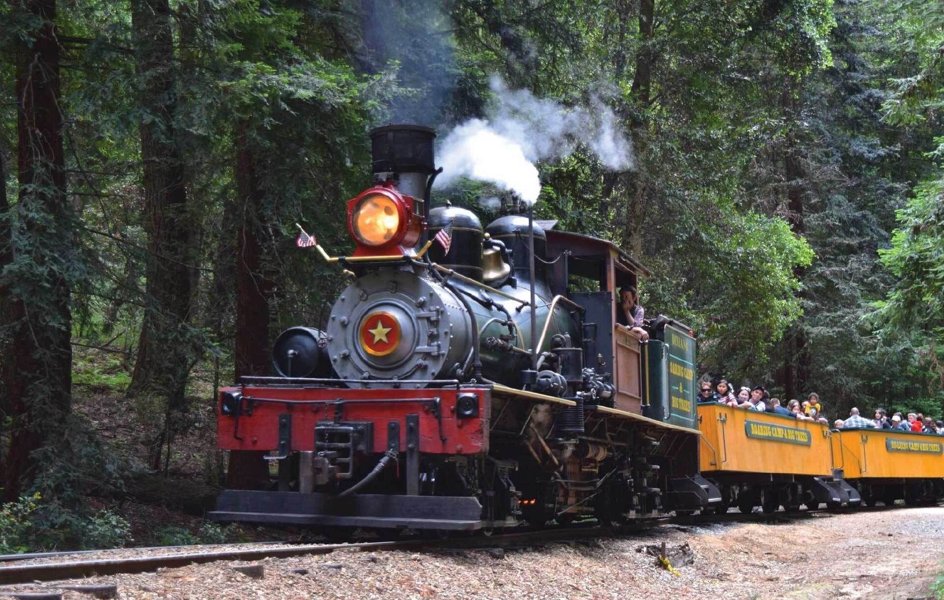 A steam locomotive with passengers in open-top cars, surrounded by dense forest.