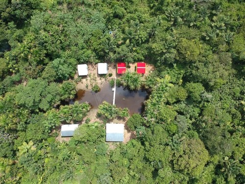 Friends of The Amazon Jungle Lodge
